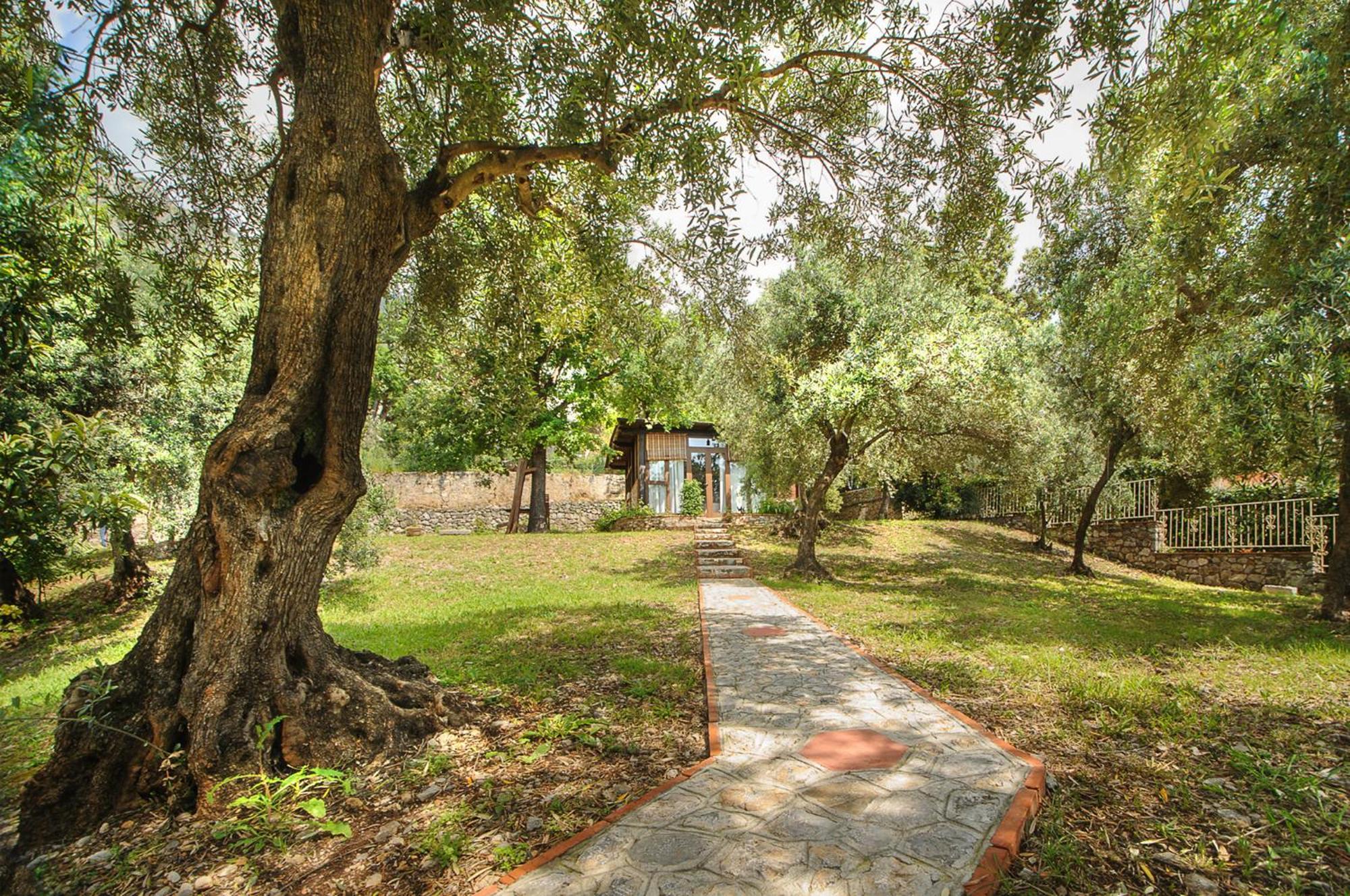 B&B La Torretta Маратея Экстерьер фото
