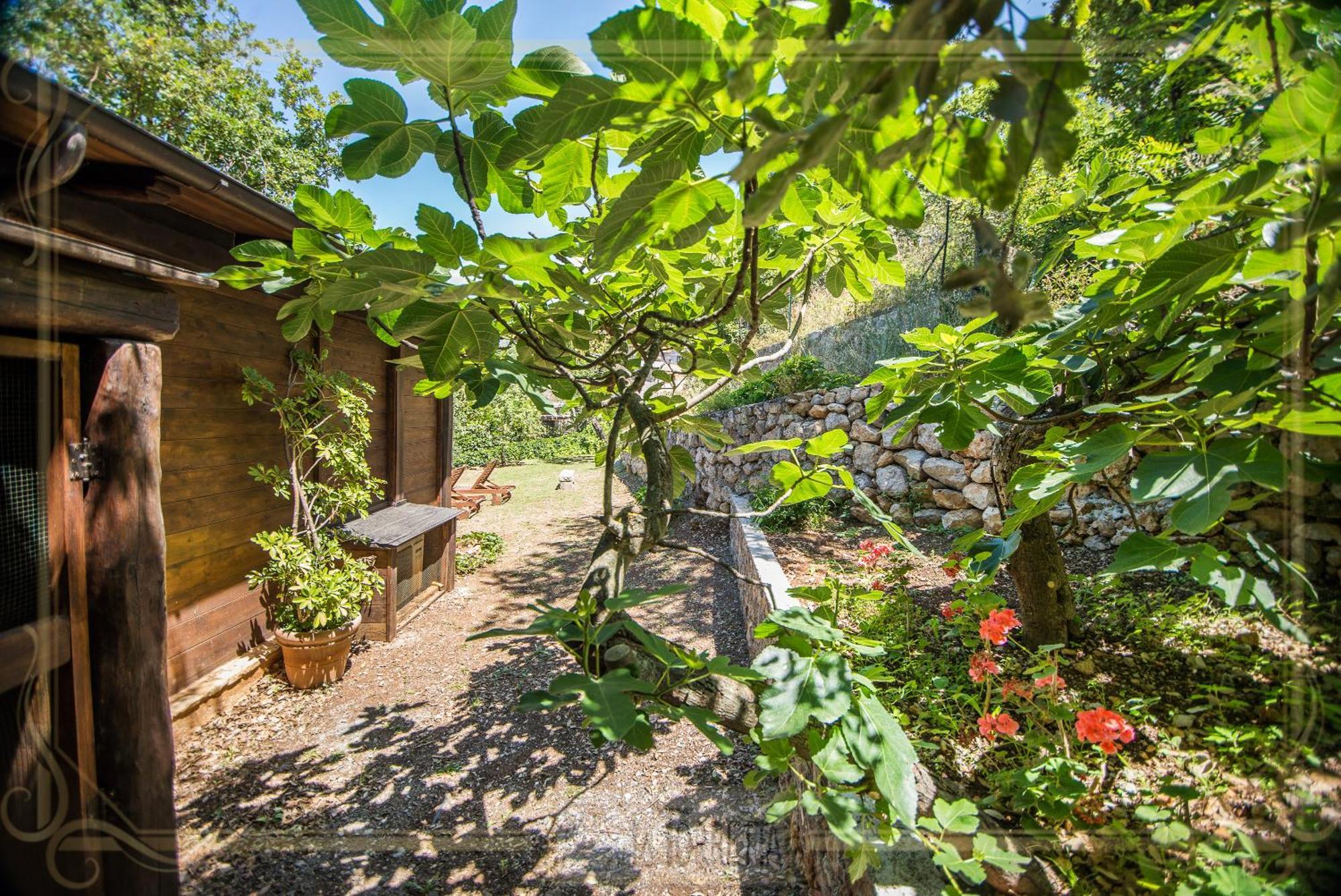 B&B La Torretta Маратея Экстерьер фото